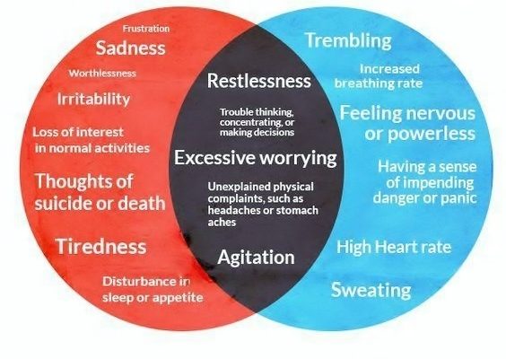 Understanding Anxiety